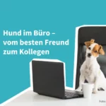 Hund im Büro